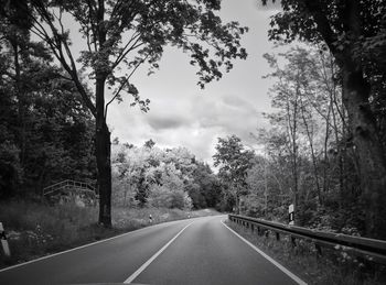 Empty road along trees