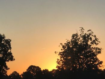 Low angle view of silhouette trees against clear sky