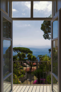 Trees by sea seen through balcony window