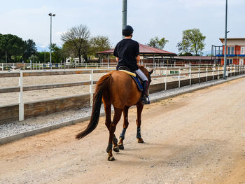 Rear view of man riding horse in ranch