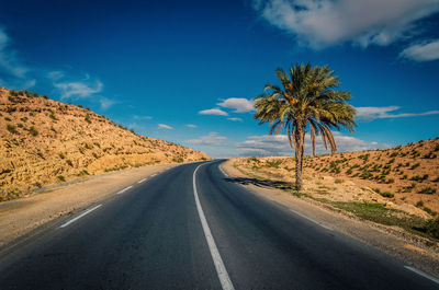 Empty road by palm trees against blue sky