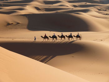 Group of people on sand dune