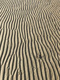 Full frame shot of sand dune