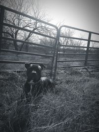 Low angle view of sky