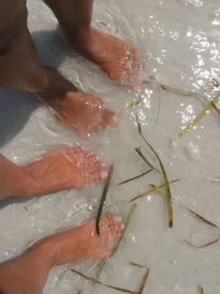 High angle view of hand in water