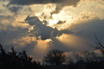 Low angle view of silhouette trees against sky at sunset