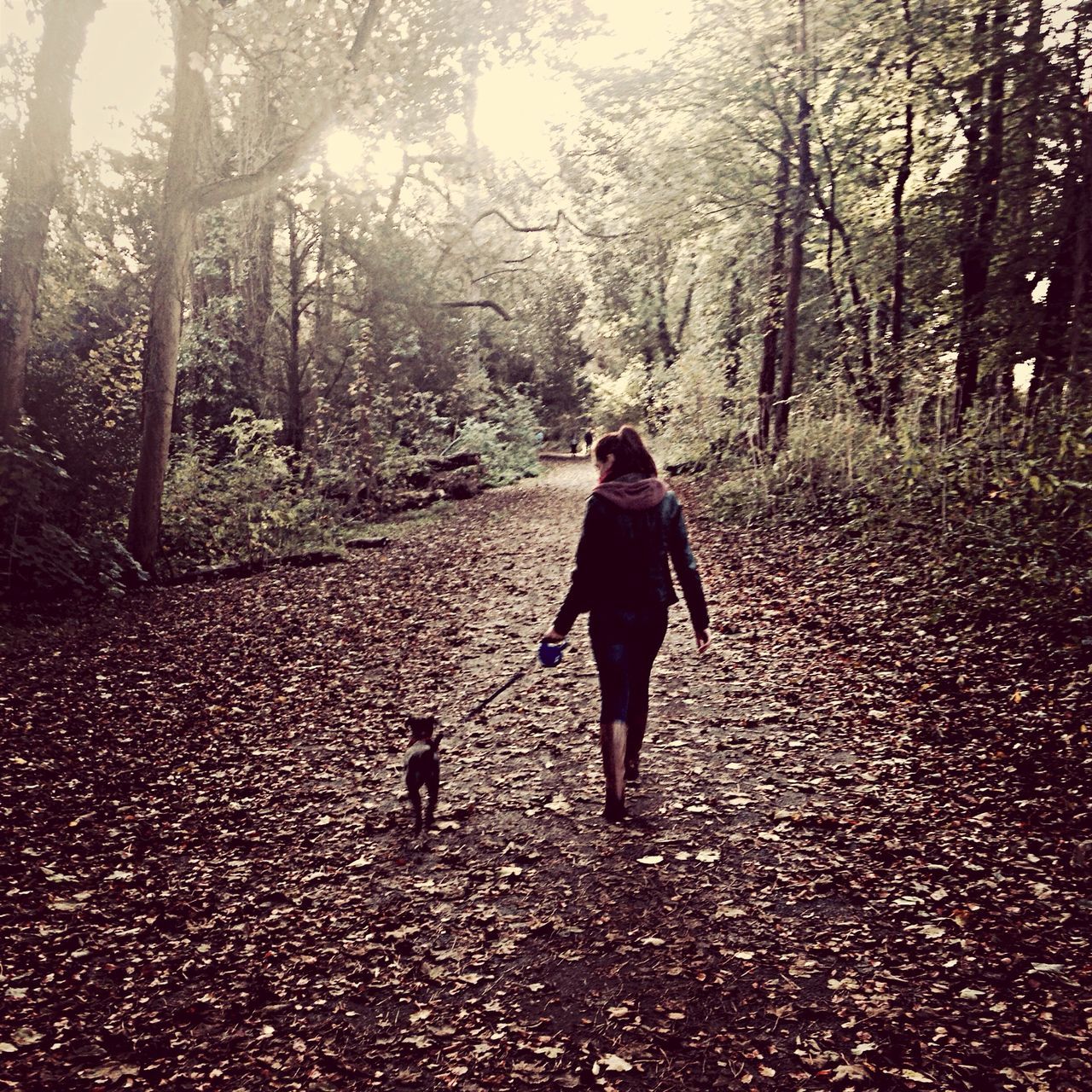 tree, full length, rear view, walking, forest, the way forward, lifestyles, leisure activity, tree trunk, nature, footpath, tranquility, road, standing, casual clothing, woodland, growth, day