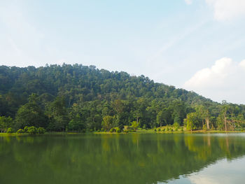 Scenic view of lake by trees against sky