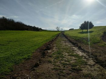 Scenic view of field against sky