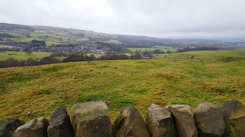 Scenic view of agricultural field against sky