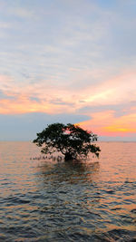 Scenic view of sea against sky during sunset