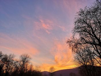 Low angle view of silhouette trees against sky during sunset