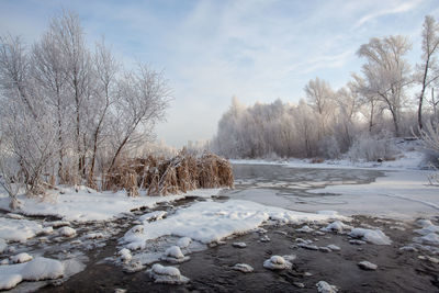 Scenic view of snow covered land and trees against sky