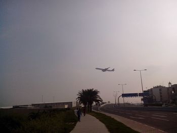 Birds flying over road against clear sky