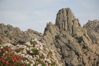 Low angle view of rock formation against sky