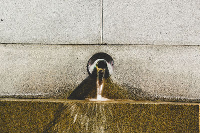 Close-up of water spraying from faucet