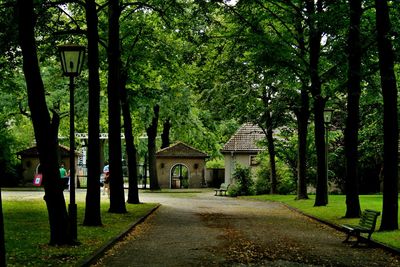 Footpath amidst trees and building