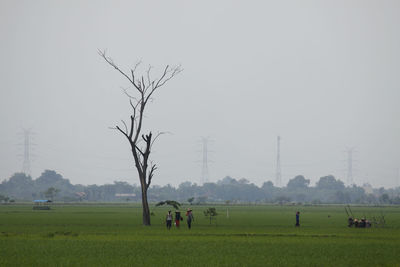 People on field against sky