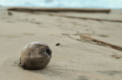 Close up of sandy beach