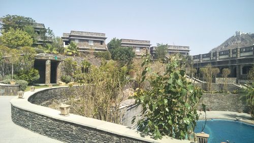 Plants growing in park against buildings