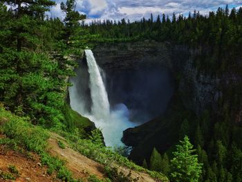 View of waterfall in forest