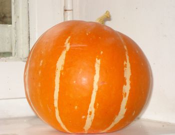 Close-up of orange pumpkin on table