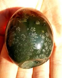 Close-up of cropped hand