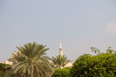 View of palm trees and building against sky