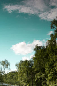 Low angle view of trees against cloudy sky