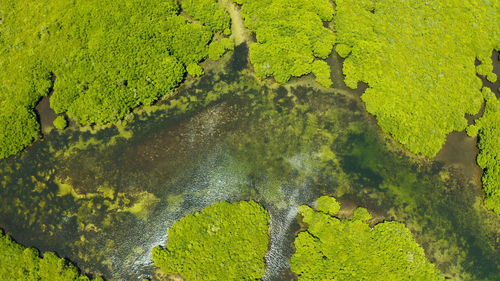 High angle view of water flowing in lake