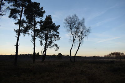 Silhouette trees on field against sky during sunset