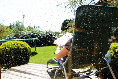 Dog walking in park during rainy season