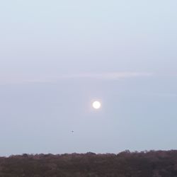 Low angle view of moon against clear sky