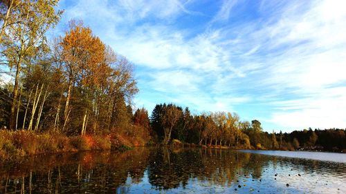 Scenic view of lake in forest against sky