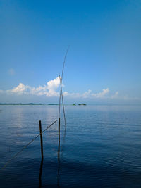 Scenic view of sea against blue sky