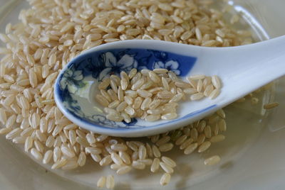 Close-up of food in bowl