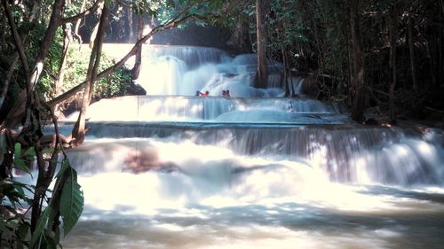 Scenic view of waterfall in forest