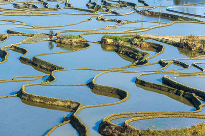 High angle view of plants by lake against sky