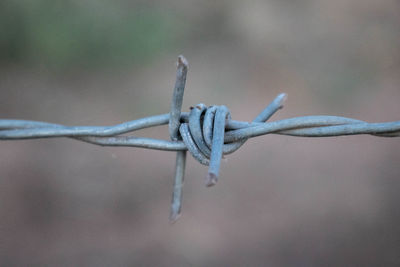 Close-up of barbed wire on fence