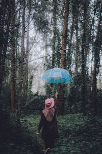 Woman standing by trees in forest during rainy season