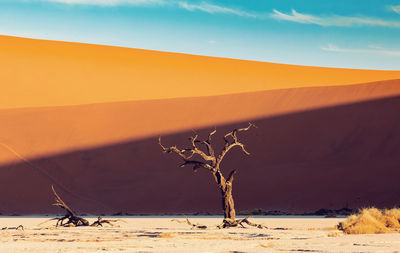 Scenic view of desert against sky during sunset