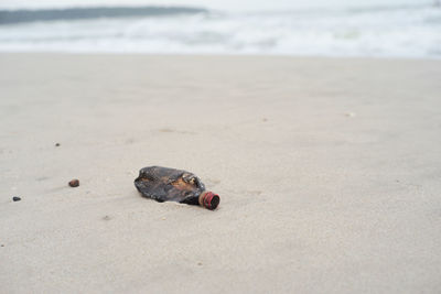 Selective focus on the plastic bottle on the beach with blurred seascape in background. trash