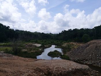 Scenic view of river amidst trees in forest against sky