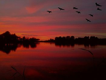 Reflection of clouds in lake at sunset