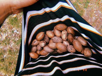 Close-up of hand holding bread