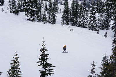 Woman walking on snow covered land against trees