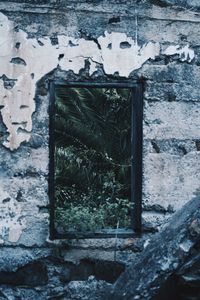 Window of old building