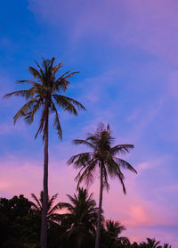 Low angle view of silhouette palm trees against sky