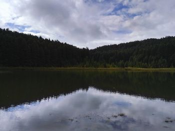 Scenic view of lake in forest against sky
