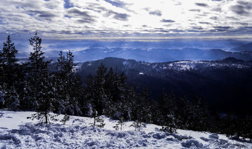 Scenic view of landscape against sky during winter